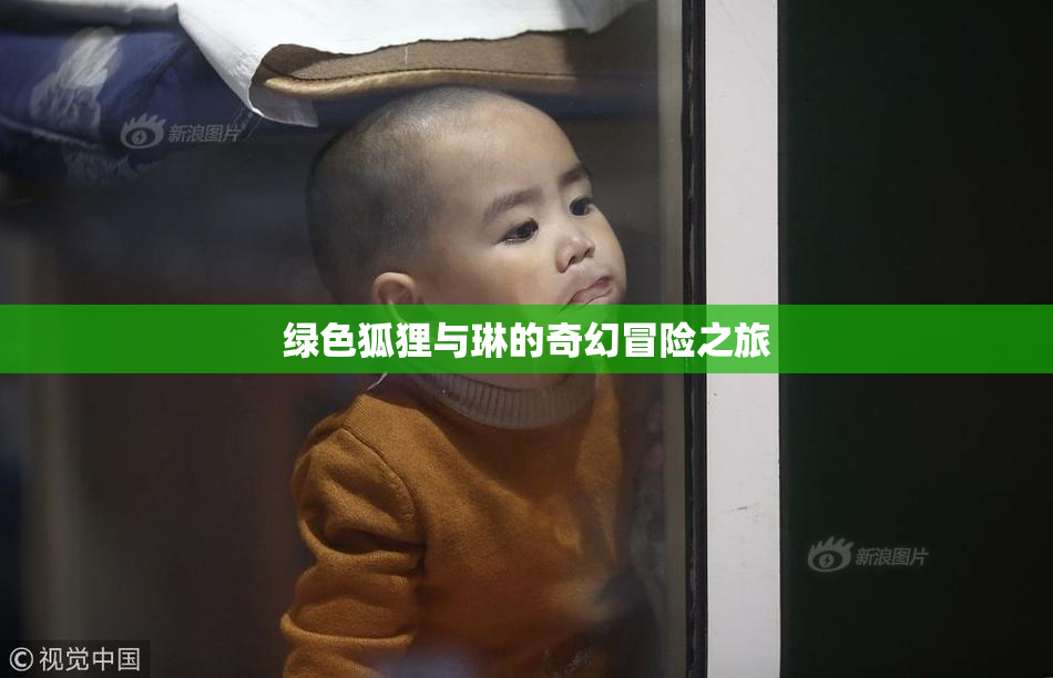 绿色狐狸与琳的奇幻冒险之旅