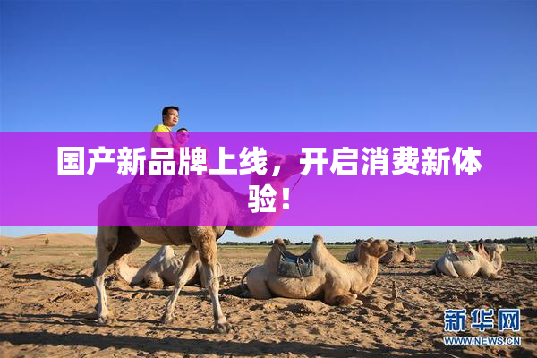 国产新品牌上线，开启消费新体验！