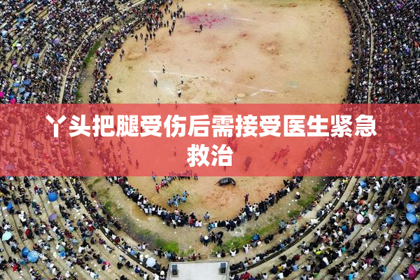 丫头把腿受伤后需接受医生紧急救治