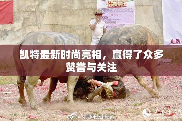 凯特最新时尚亮相，赢得了众多赞誉与关注