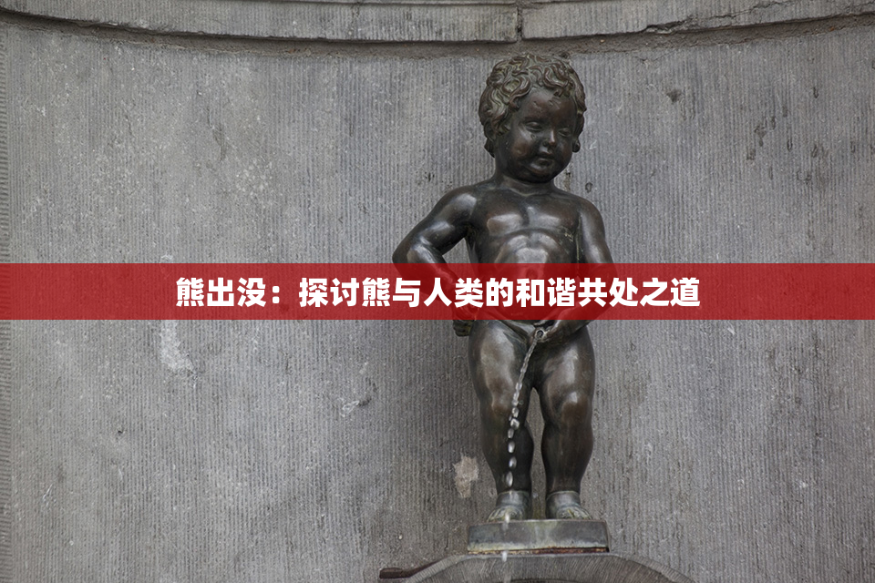 熊出没：探讨熊与人类的和谐共处之道