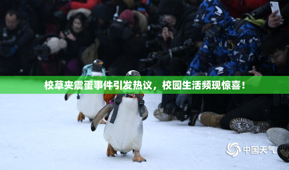 校草夹震蛋事件引发热议，校园生活频现惊喜！