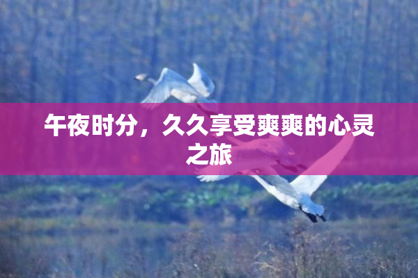 午夜时分，久久享受爽爽的心灵之旅