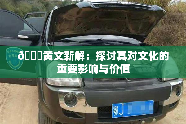 🔞黄文新解：探讨其对文化的重要影响与价值
