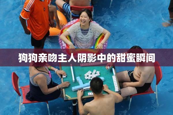 狗狗亲吻主人阴影中的甜蜜瞬间