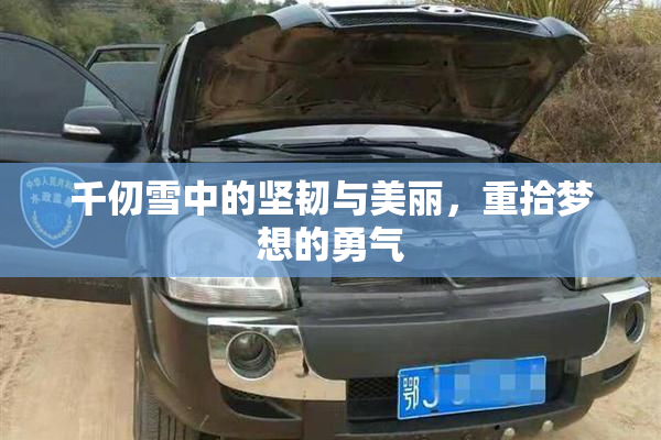 千仞雪中的坚韧与美丽，重拾梦想的勇气