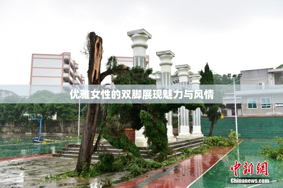 优雅女性的双脚展现魅力与风情