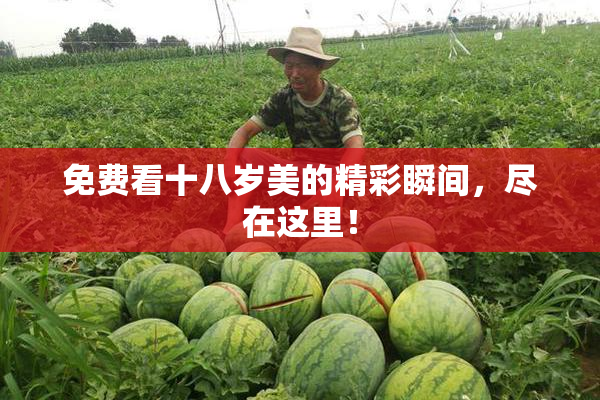 免费看十八岁美的精彩瞬间，尽在这里！