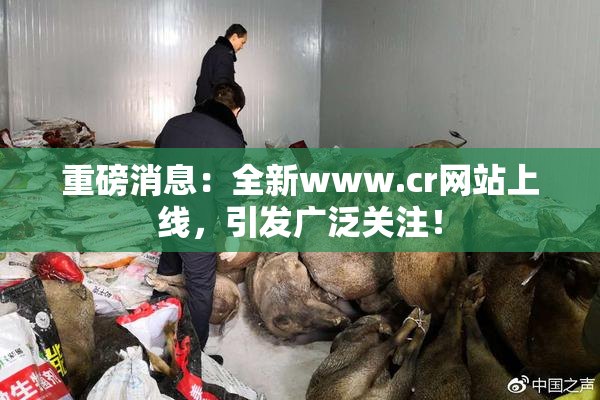 重磅消息：全新www.cr网站上线，引发广泛关注！