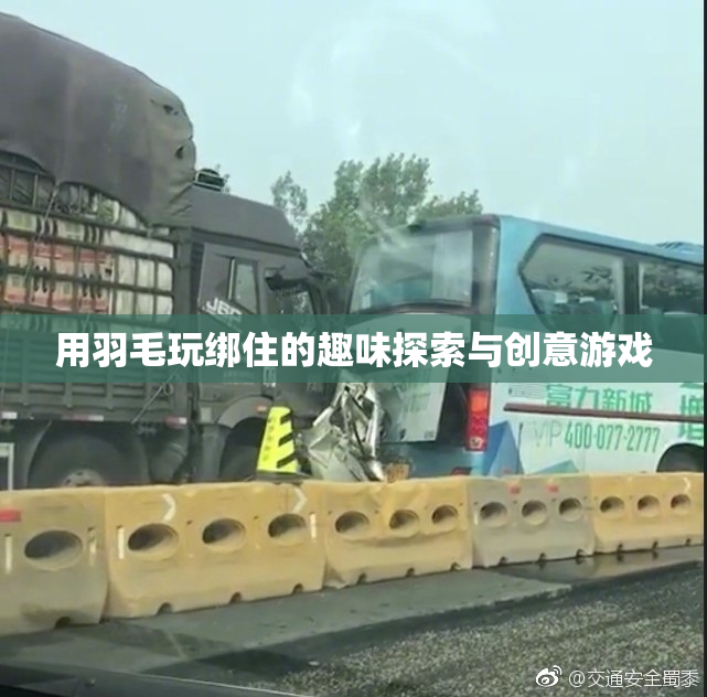 用羽毛玩绑住的趣味探索与创意游戏