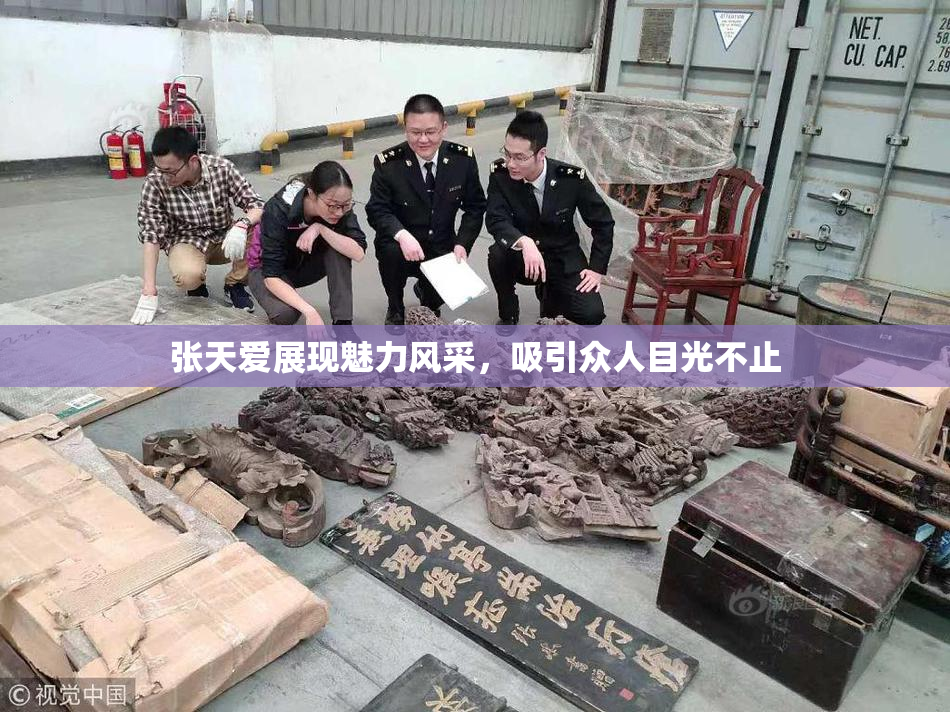 张天爱展现魅力风采，吸引众人目光不止
