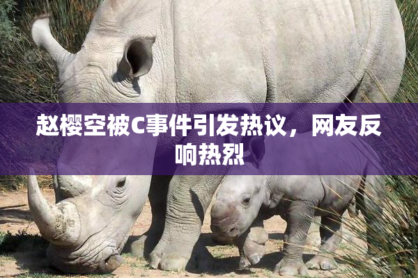 赵樱空被C事件引发热议，网友反响热烈