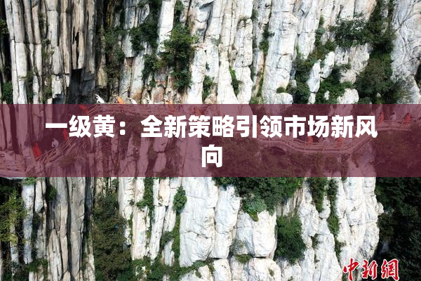 一级黄：全新策略引领市场新风向