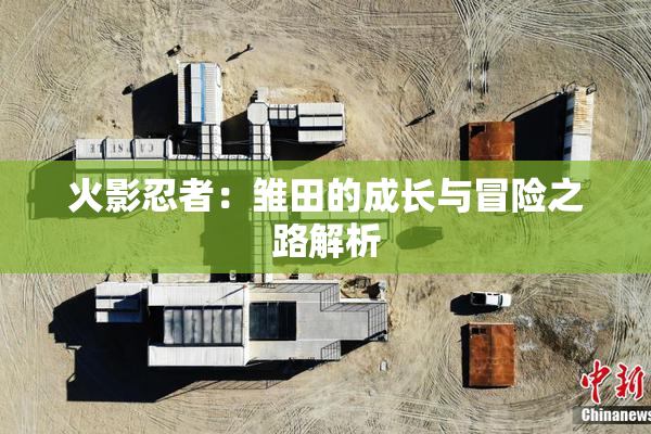 火影忍者：雏田的成长与冒险之路解析