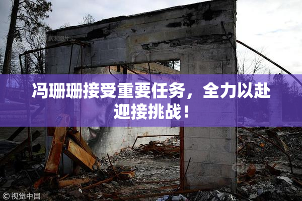冯珊珊接受重要任务，全力以赴迎接挑战！