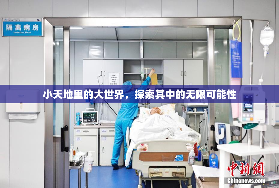 小天地里的大世界，探索其中的无限可能性