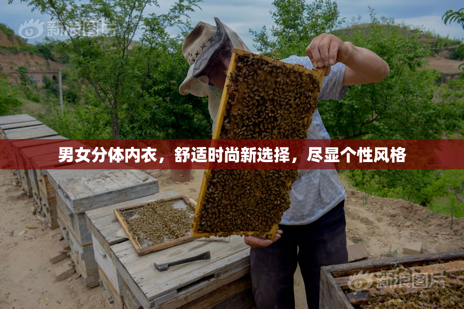 男女分体内衣，舒适时尚新选择，尽显个性风格