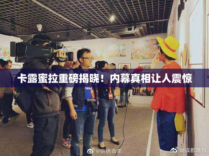 卡露蜜拉重磅揭晓！内幕真相让人震惊