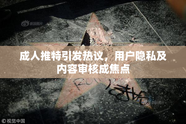 成人推特引发热议，用户隐私及内容审核成焦点