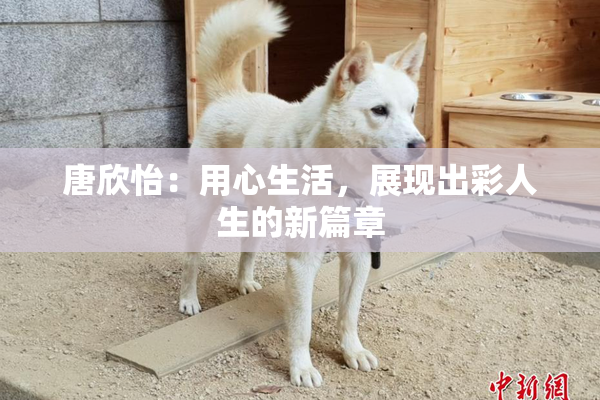 唐欣怡：用心生活，展现出彩人生的新篇章