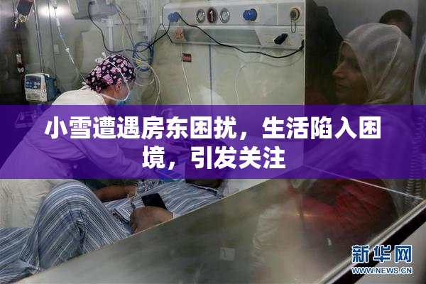 小雪遭遇房东困扰，生活陷入困境，引发关注