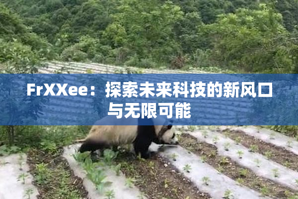 FrXXee：探索未来科技的新风口与无限可能