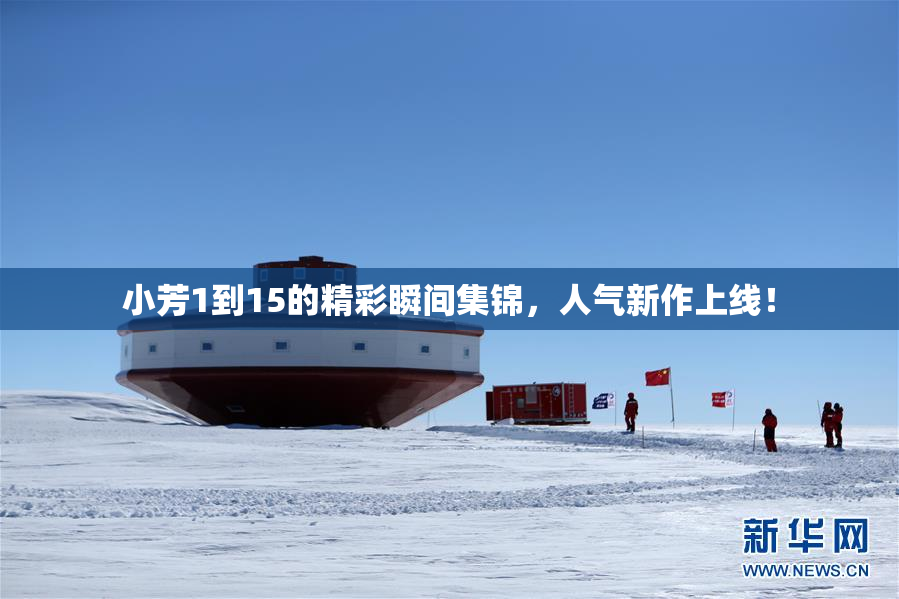 小芳1到15的精彩瞬间集锦，人气新作上线！
