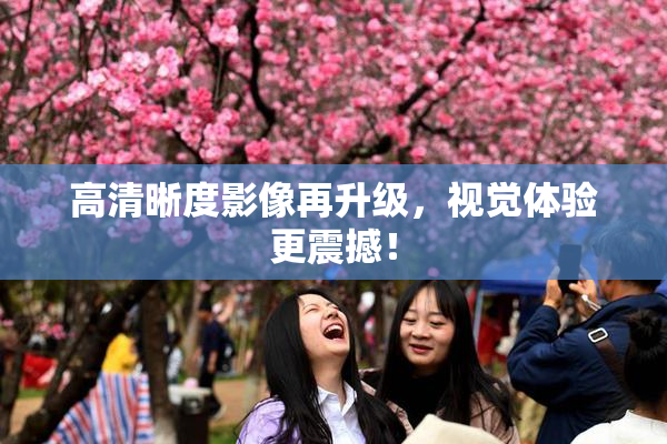 高清晰度影像再升级，视觉体验更震撼！