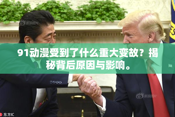 91动漫受到了什么重大变故？揭秘背后原因与影响。