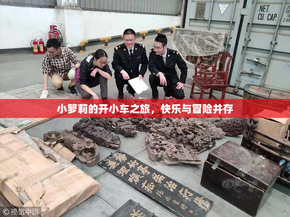 小箩莉的开小车之旅，快乐与冒险并存