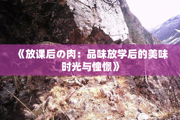 《放课后の肉：品味放学后的美味时光与憧憬》