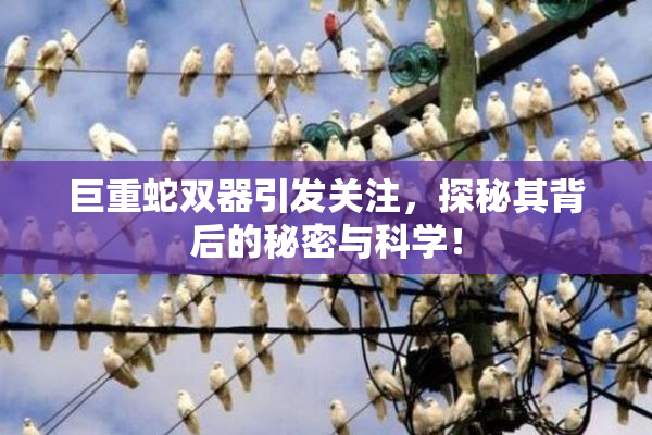 巨重蛇双器引发关注，探秘其背后的秘密与科学！