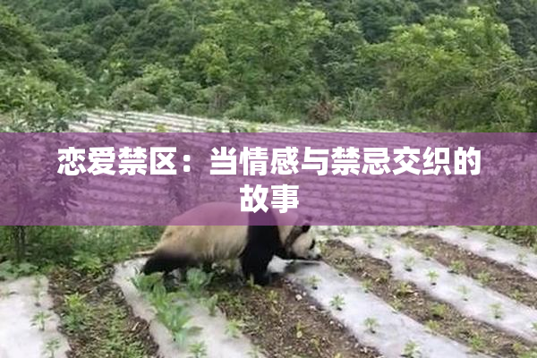 恋爱禁区：当情感与禁忌交织的故事