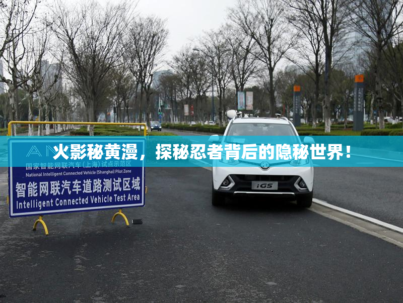 火影秘黄漫，探秘忍者背后的隐秘世界！