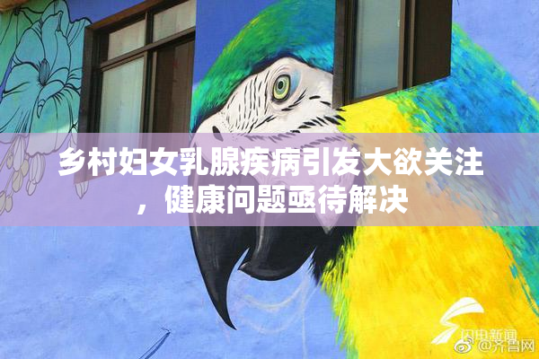 乡村妇女乳腺疾病引发大欲关注，健康问题亟待解决