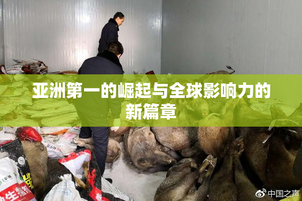 亚洲第一的崛起与全球影响力的新篇章