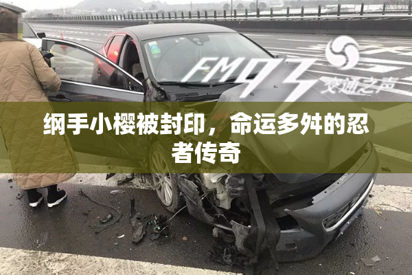 纲手小樱被封印，命运多舛的忍者传奇