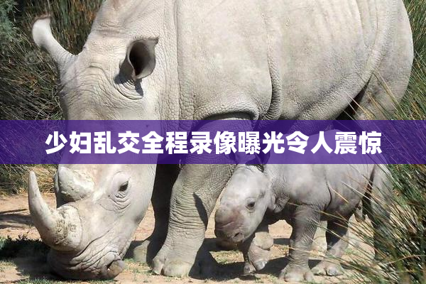 少妇乱交全程录像曝光令人震惊