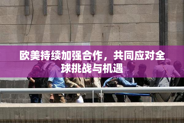 欧美持续加强合作，共同应对全球挑战与机遇