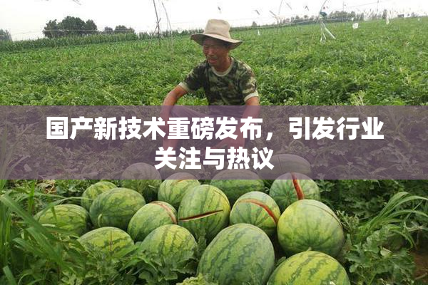 国产新技术重磅发布，引发行业关注与热议