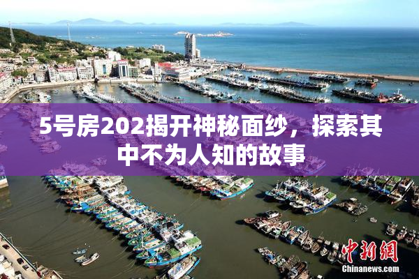 5号房202揭开神秘面纱，探索其中不为人知的故事