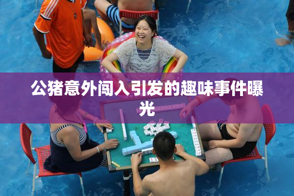 公猪意外闯入引发的趣味事件曝光