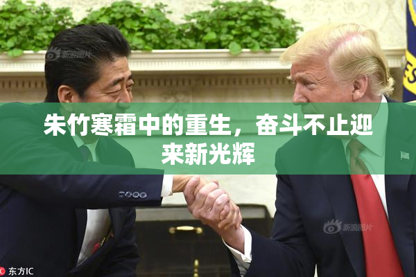 朱竹寒霜中的重生，奋斗不止迎来新光辉