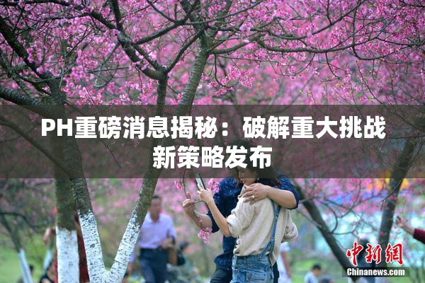 PH重磅消息揭秘：破解重大挑战新策略发布