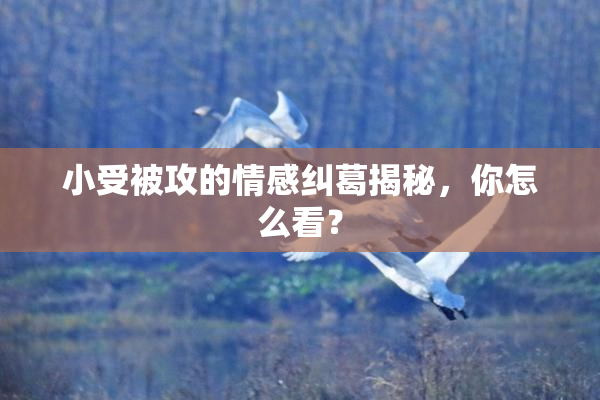 小受被攻的情感纠葛揭秘，你怎么看？