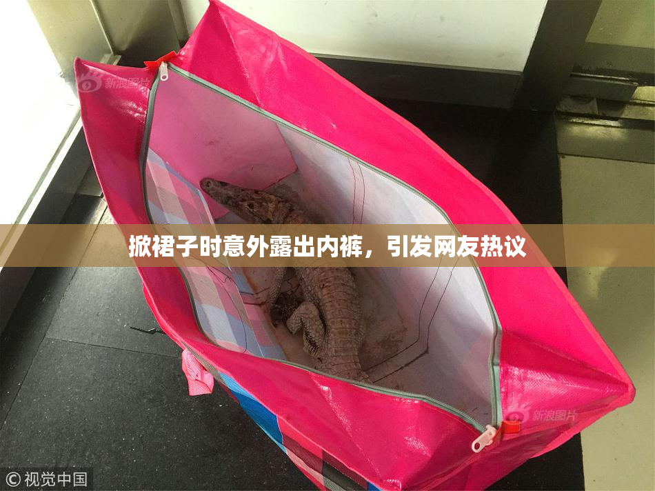 掀裙子时意外露出内裤，引发网友热议