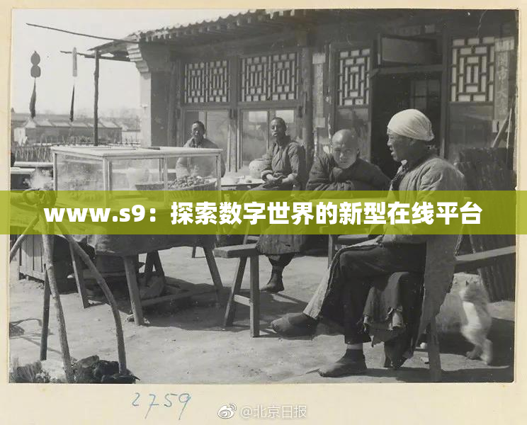 www.s9：探索数字世界的新型在线平台