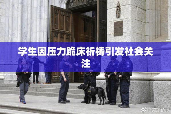 学生因压力跪床祈祷引发社会关注