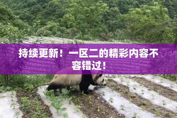 持续更新！一区二的精彩内容不容错过！