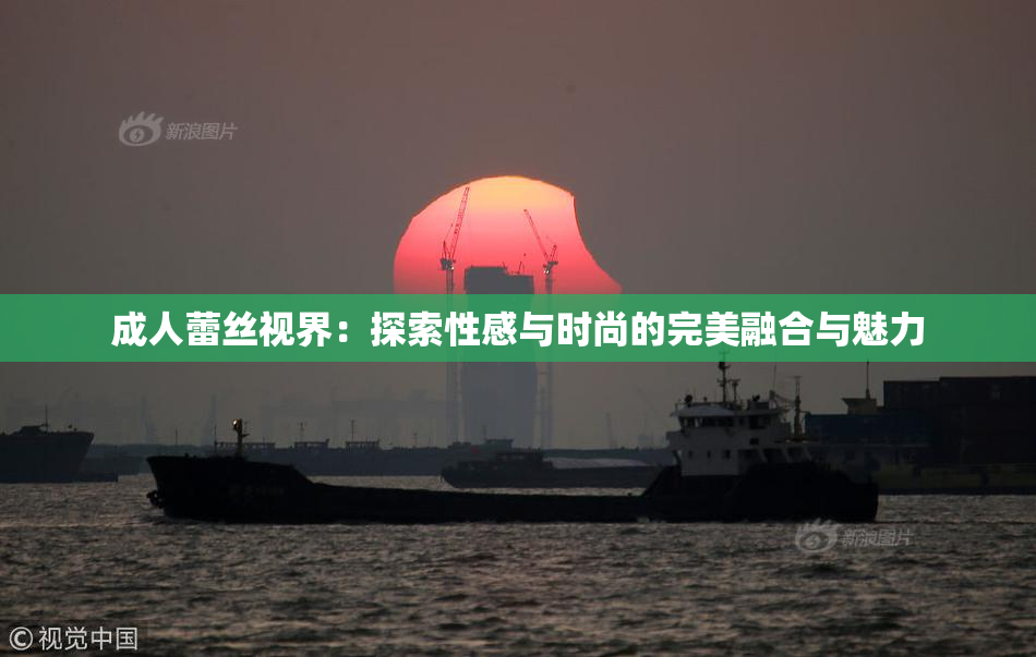 成人蕾丝视界：探索性感与时尚的完美融合与魅力